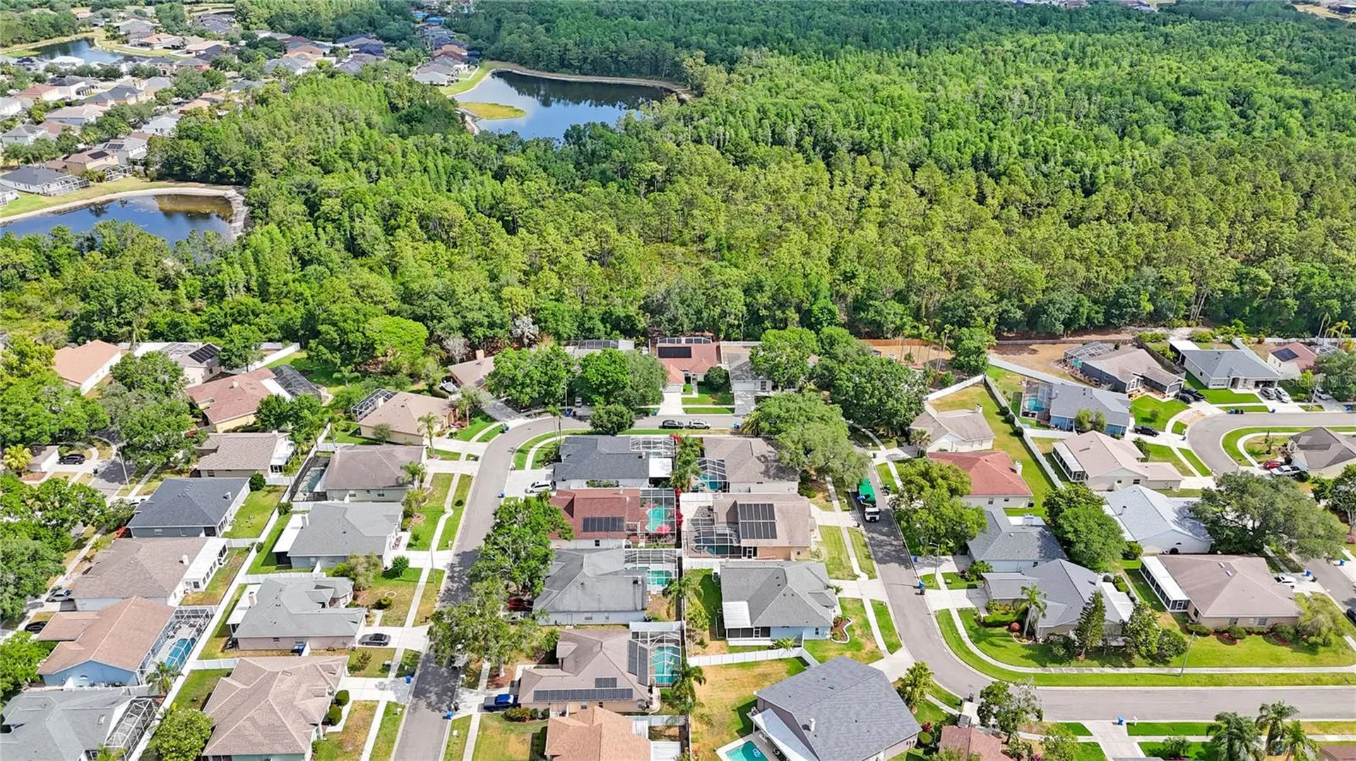 18520 Ambly Lane Tampa FL 33647