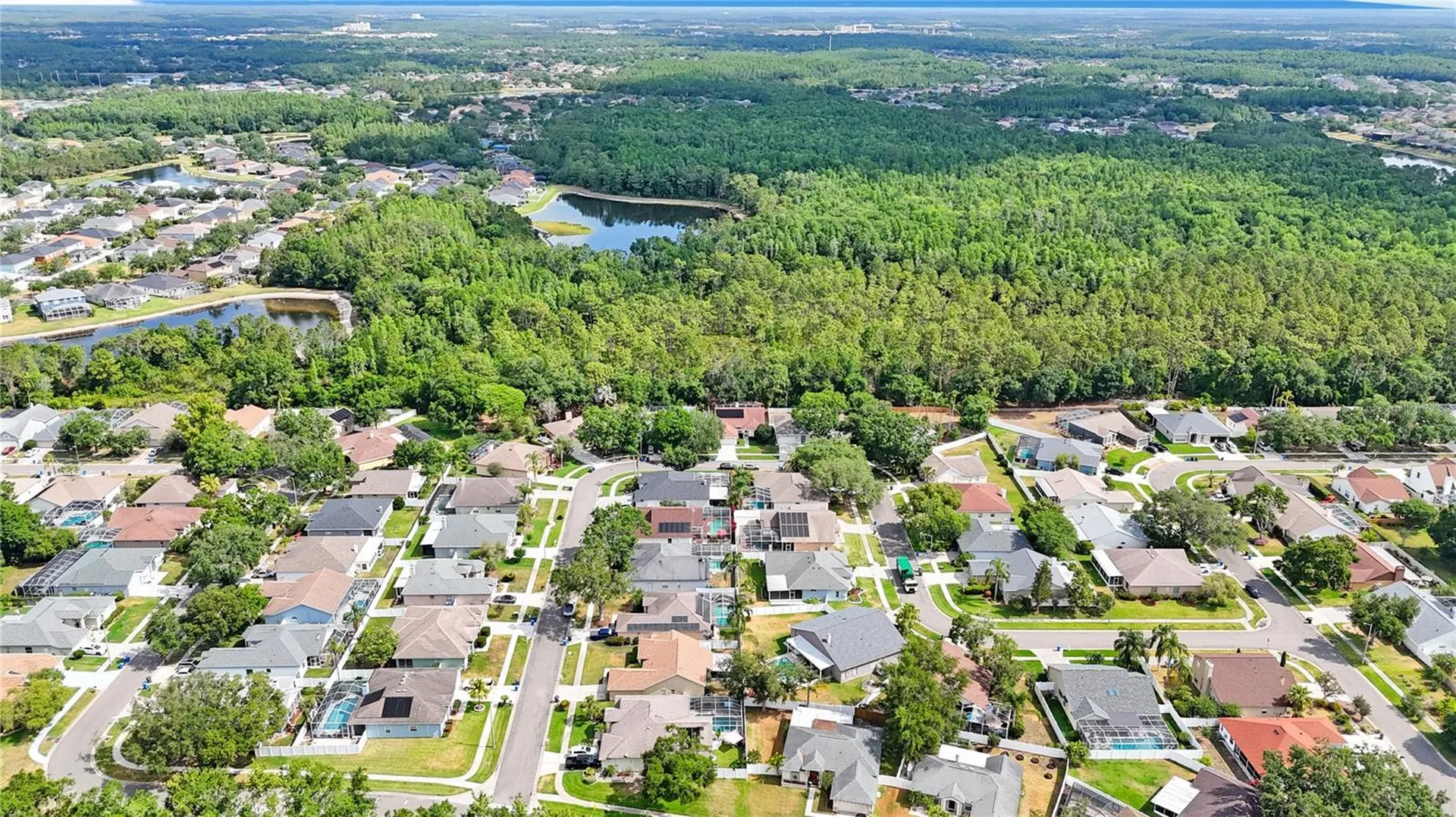 18520 Ambly Lane Tampa FL 33647