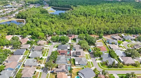 18520 Ambly Lane Tampa FL 33647
