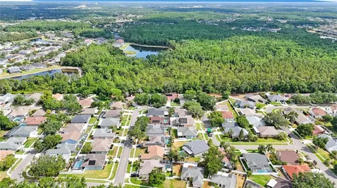 18520 Ambly Lane Tampa FL 33647