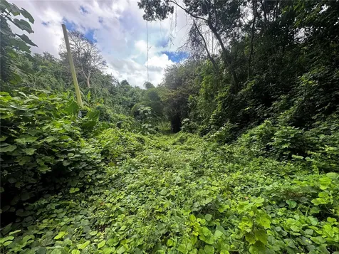 Carr 181 Bo Masa Km 13 Hm 2 Gurabo PR 00778
