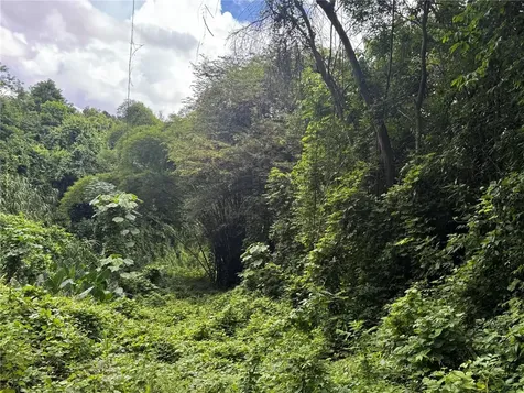 Carr 181 Bo Masa Km 13 Hm 2 Gurabo PR 00778