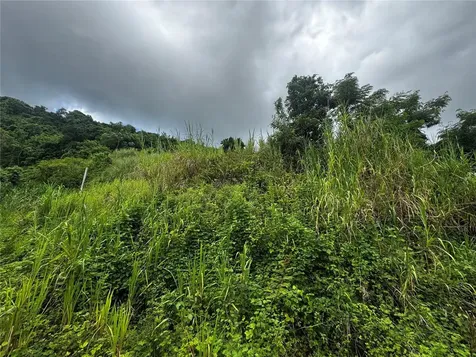 Carr 181 Bo Masa Km 13 Hm 2 Gurabo PR 00778