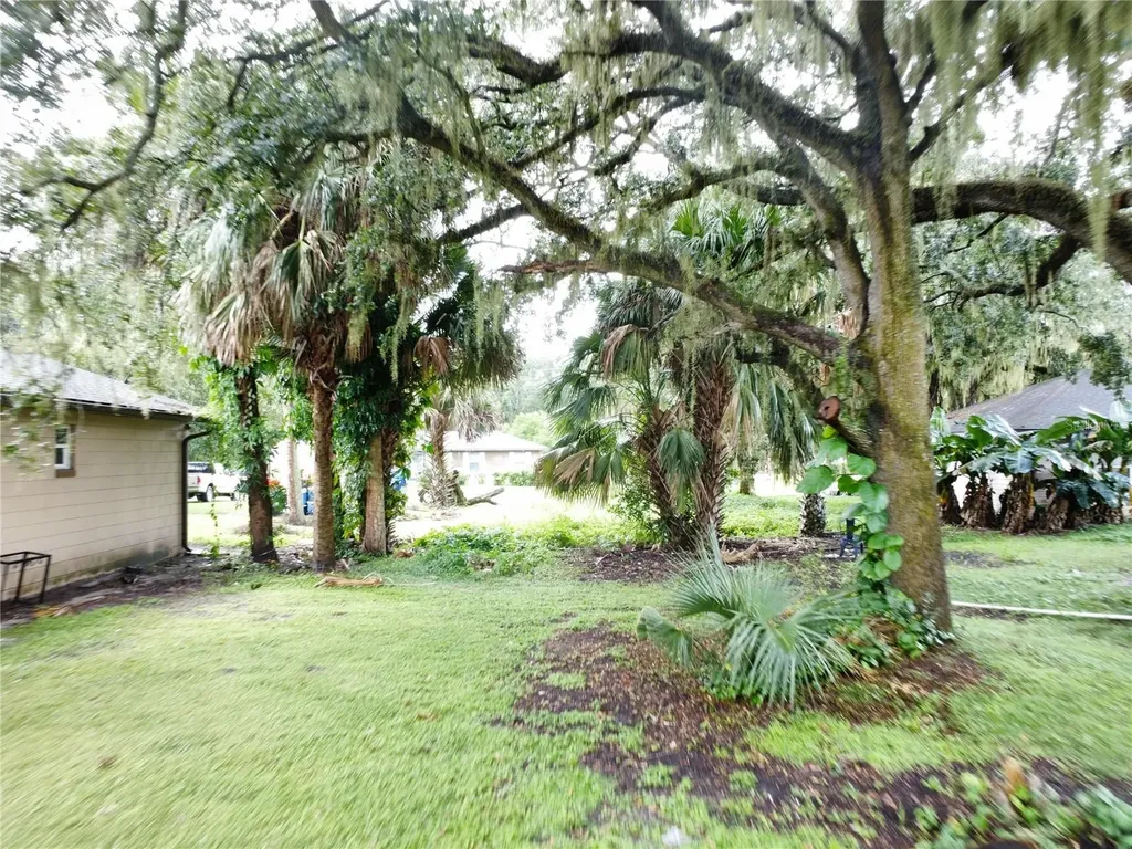 188 Mary Street Winter Garden FL 34787