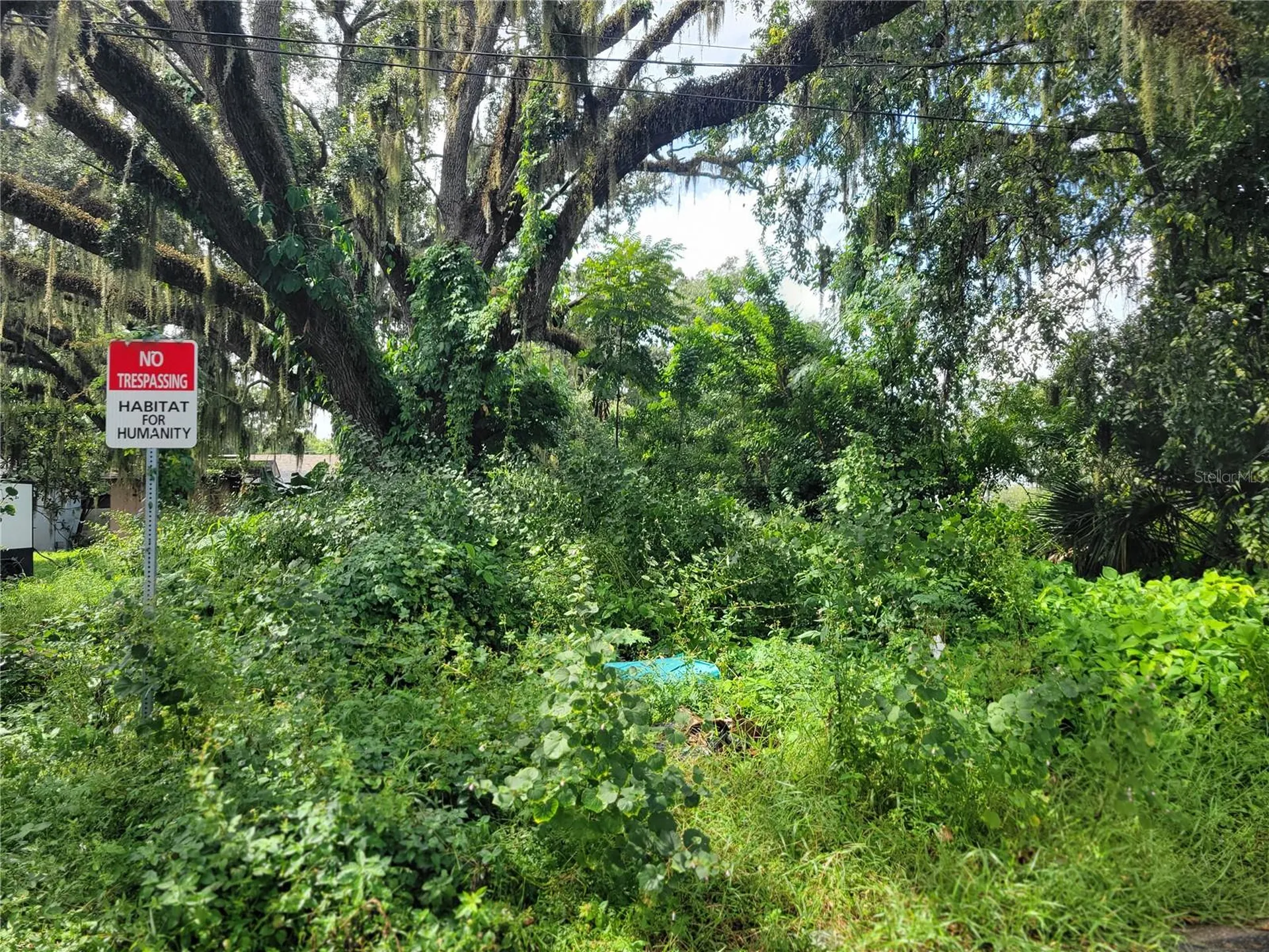 188 Mary Street Winter Garden FL 34787