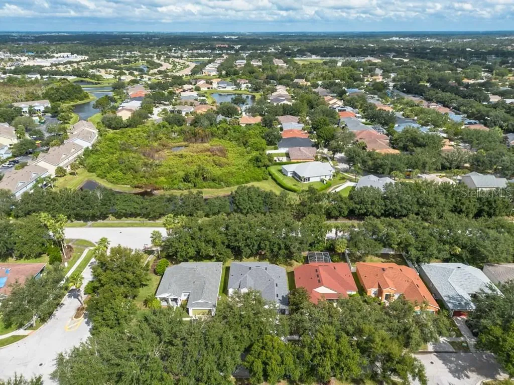 11104 Holly Cone Drive Riverview FL 33569