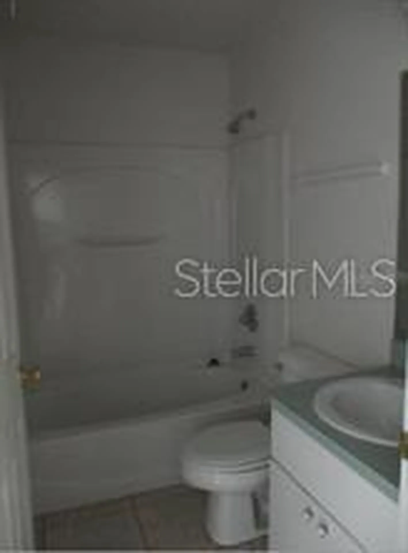 1663 SW 107th Lane Ocala FL 34476
