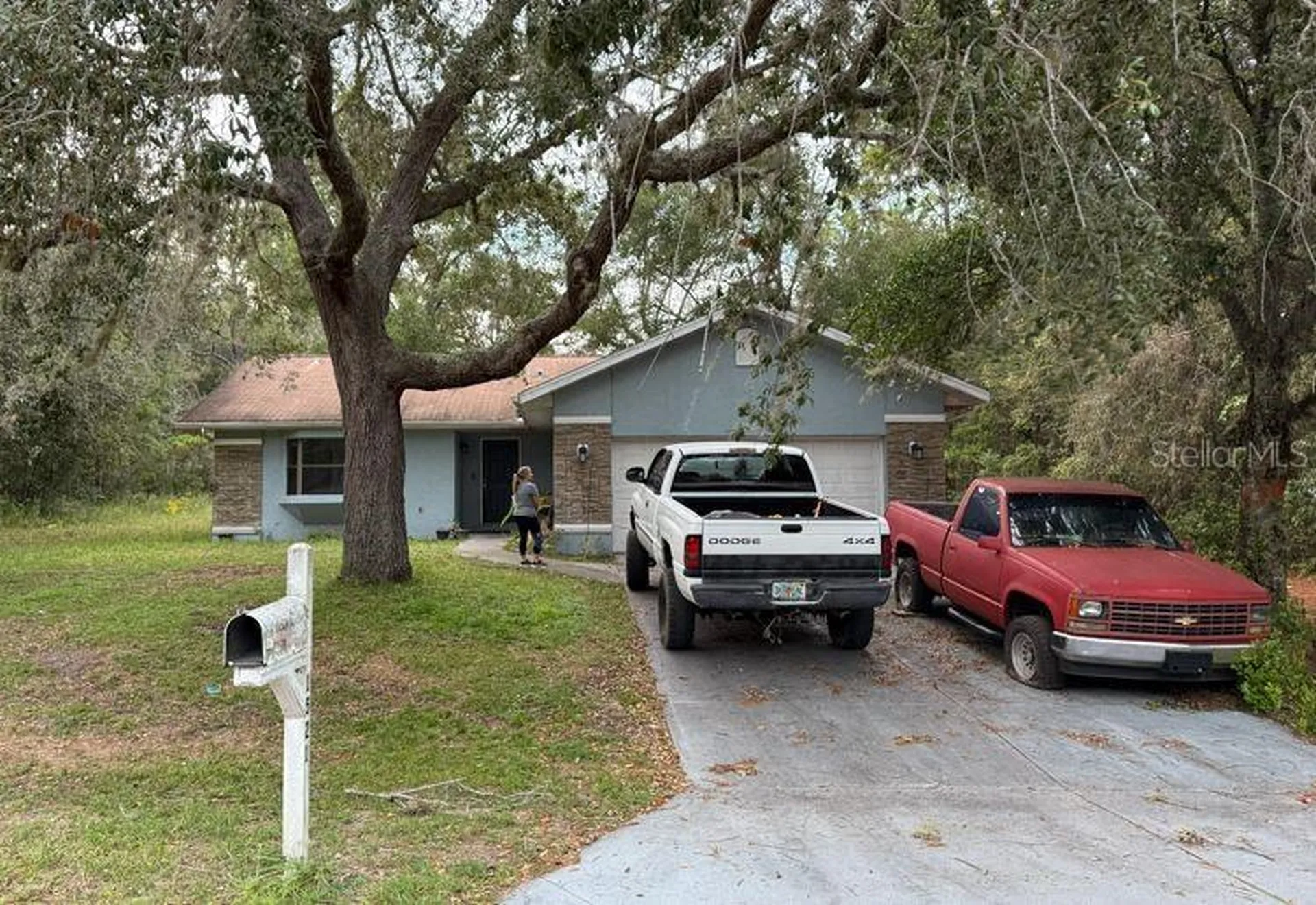 1521 W Saint Elizabeth Place Citrus Springs FL 34434