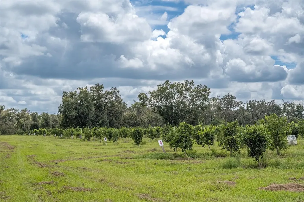 32715 Singletary Road Myakka City FL 34251