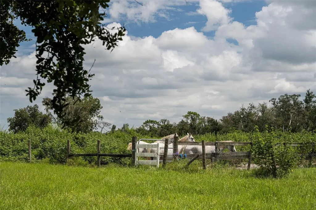 32715 Singletary Road Myakka City FL 34251