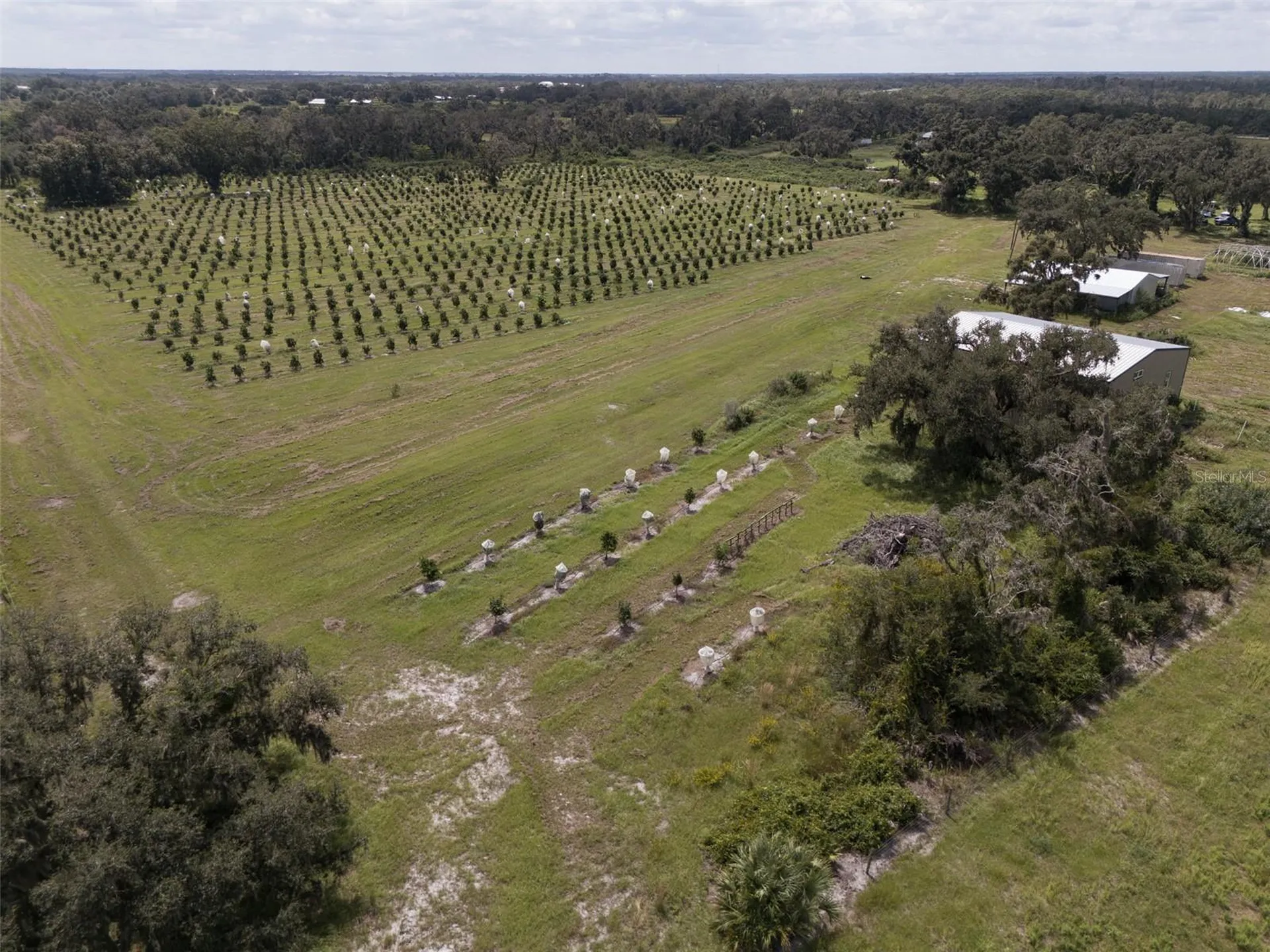 32715 Singletary Road Myakka City FL 34251