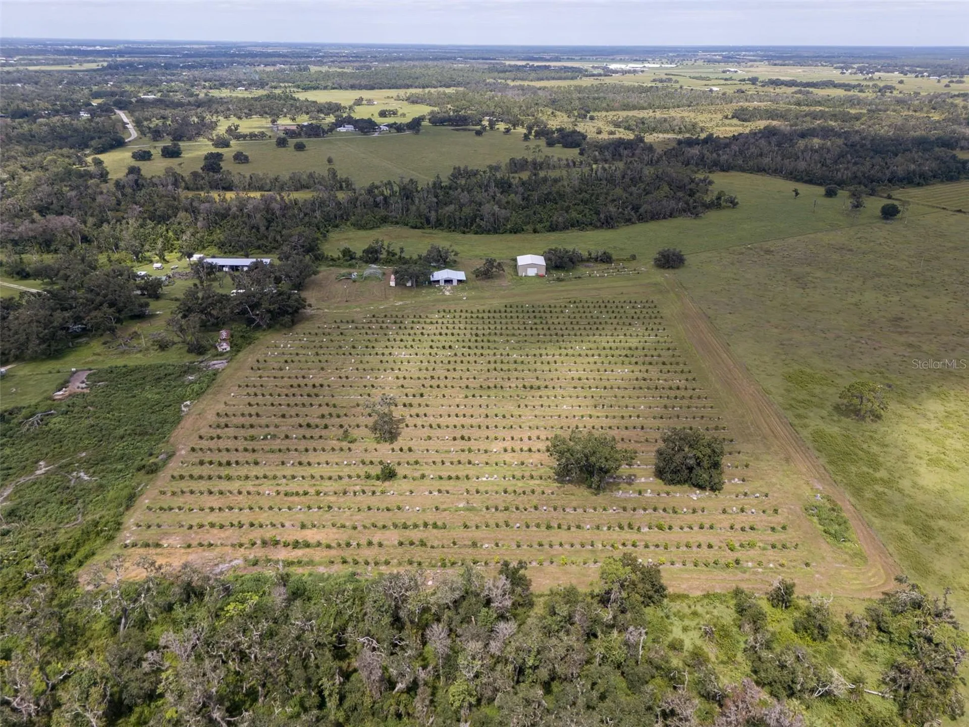 32715 Singletary Road Myakka City FL 34251