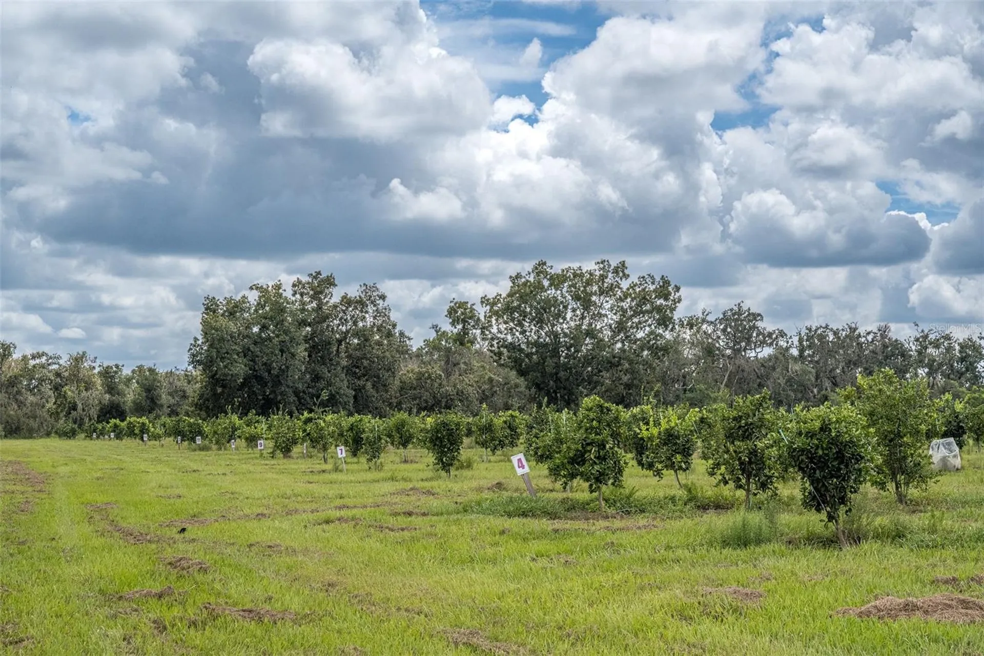 32715 Singletary Road Myakka City FL 34251