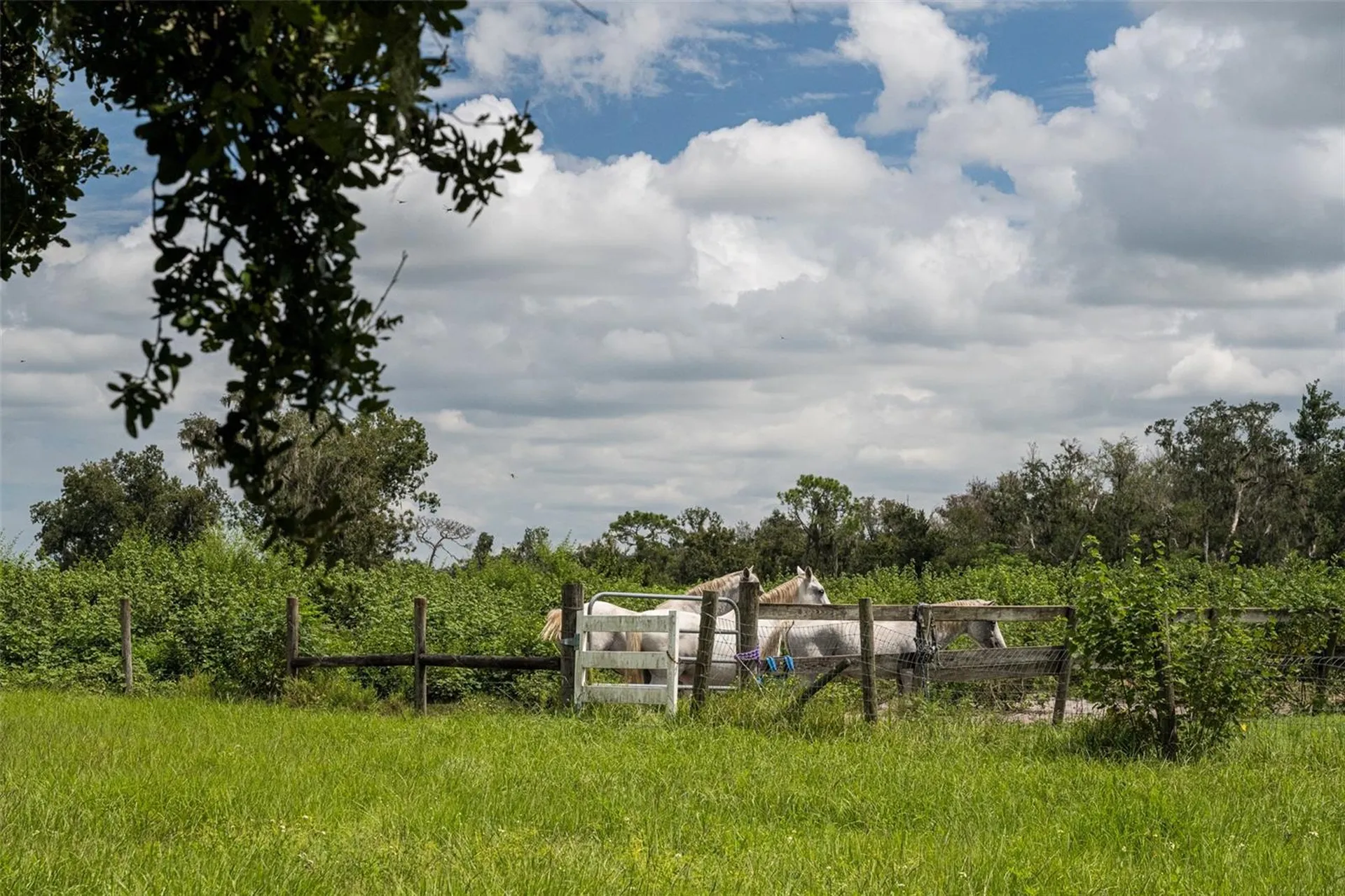 32715 Singletary Road Myakka City FL 34251