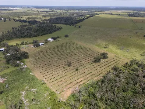 32715 Singletary Road Myakka City FL 34251