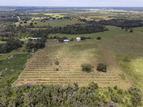 32715 Singletary Road Myakka City FL 34251