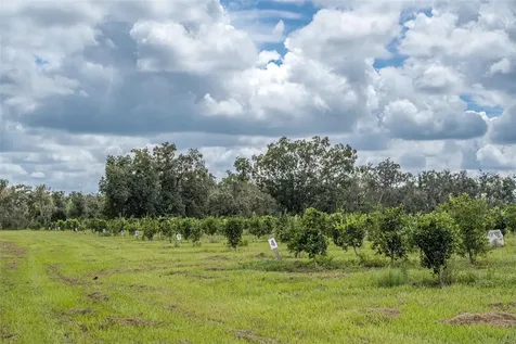 32715 Singletary Road Myakka City FL 34251