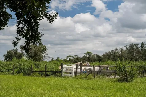32715 Singletary Road Myakka City FL 34251