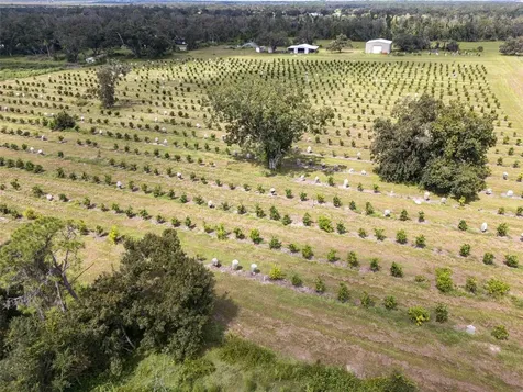 32715 Singletary Road Myakka City FL 34251