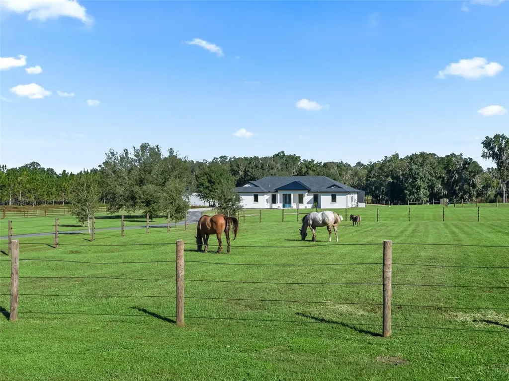 9209 W Highway 316 Reddick FL 32686