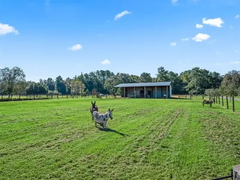 9209 W Highway 316 Reddick FL 32686