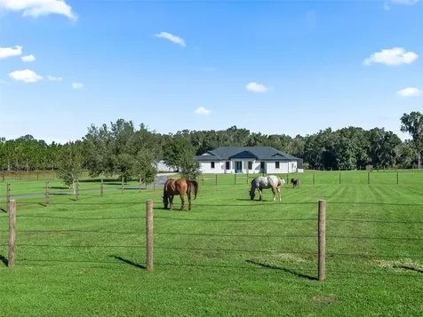 9209 W Highway 316 Reddick FL 32686