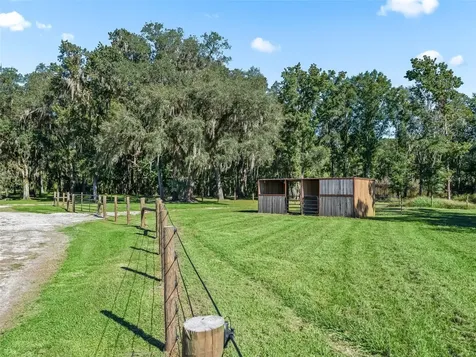 9209 W Highway 316 Reddick FL 32686