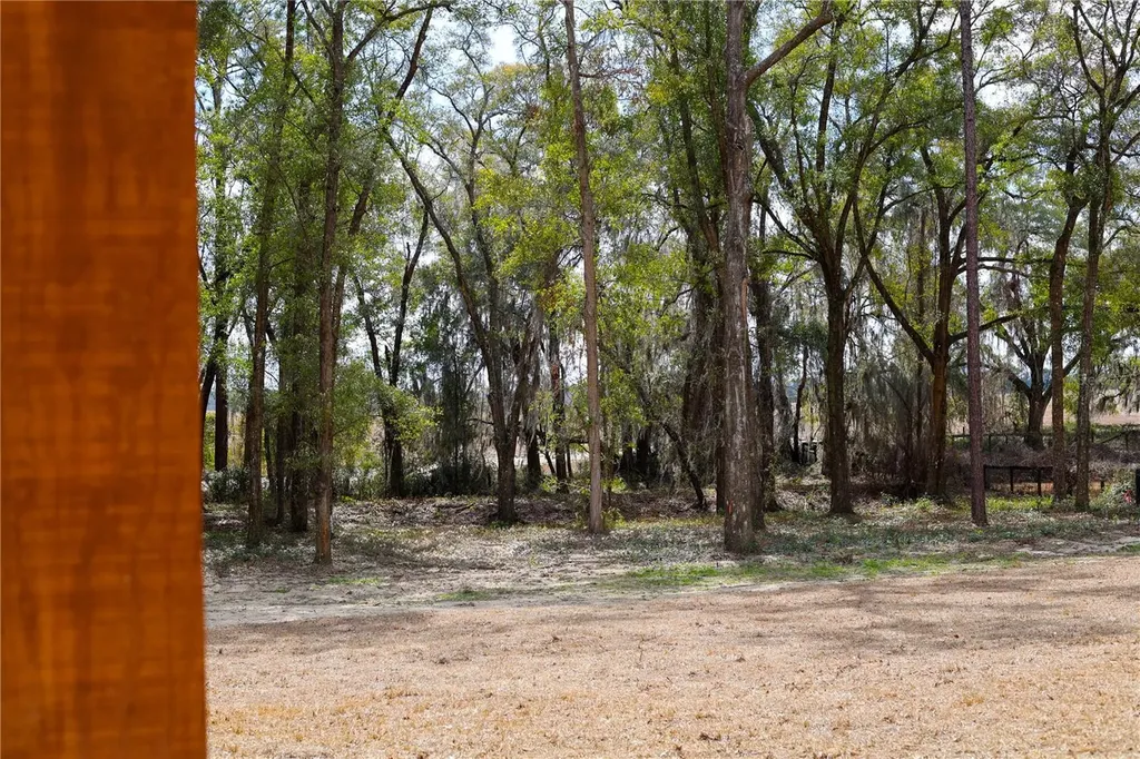 11430 SW 61st Place Road Ocala FL 34481
