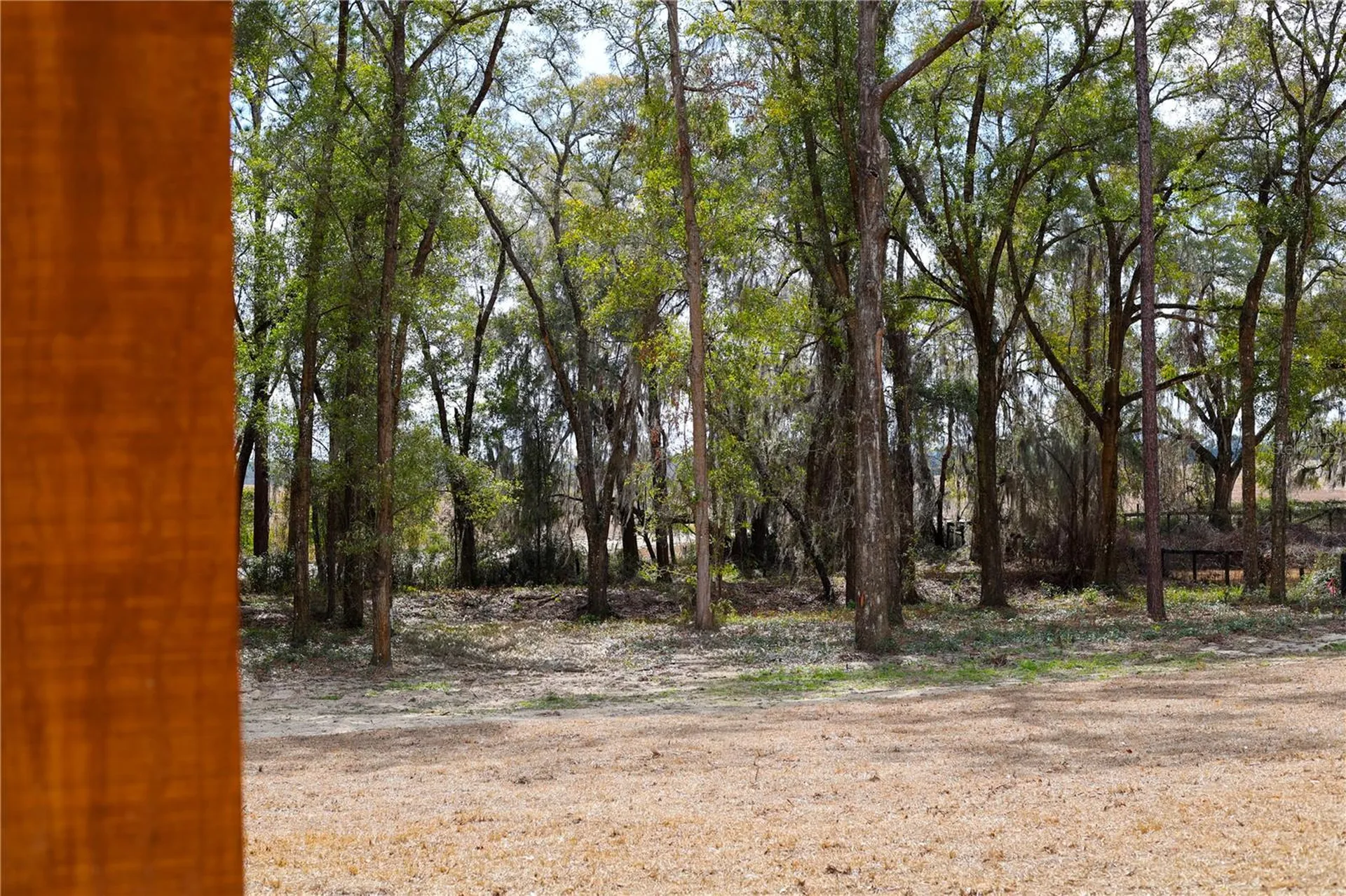 11430 SW 61st Place Road Ocala FL 34481