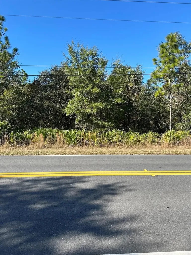 632 N Dunkenfield Avenue Crystal River FL 34429