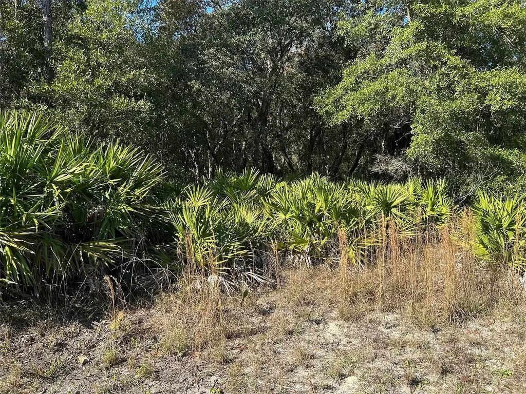 632 N Dunkenfield Avenue Crystal River FL 34429