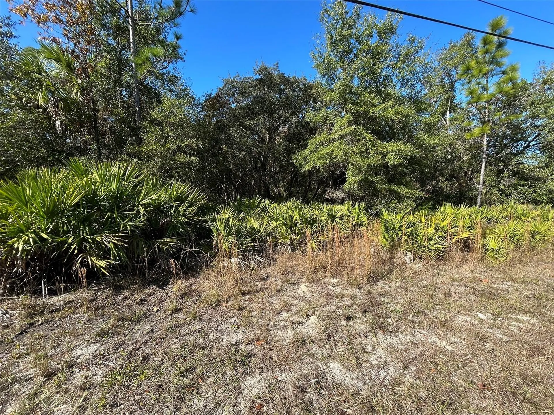 632 N Dunkenfield Avenue Crystal River FL 34429