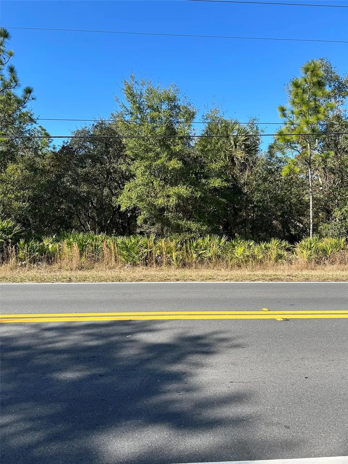 632 N Dunkenfield Avenue Crystal River FL 34429
