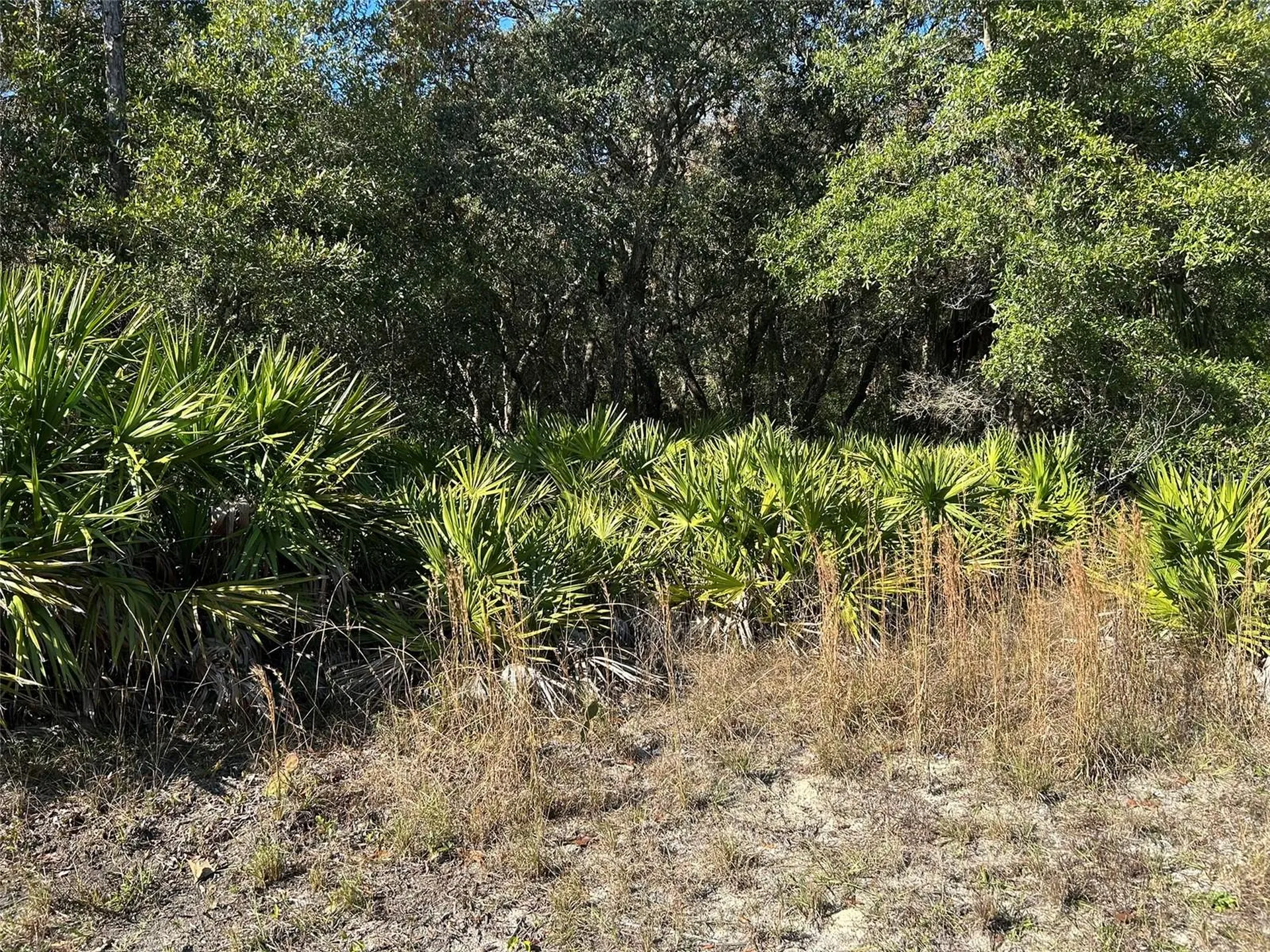 632 N Dunkenfield Avenue Crystal River FL 34429
