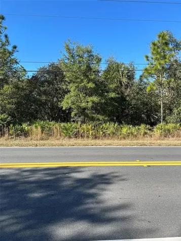 632 N Dunkenfield Avenue Crystal River FL 34429