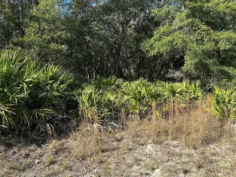 632 N Dunkenfield Avenue Crystal River FL 34429