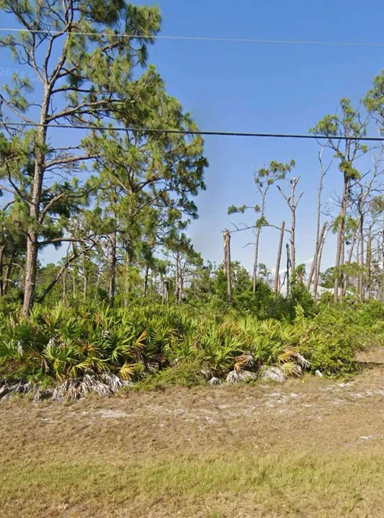 110 Wahoo Drive Rotonda West FL 33947
