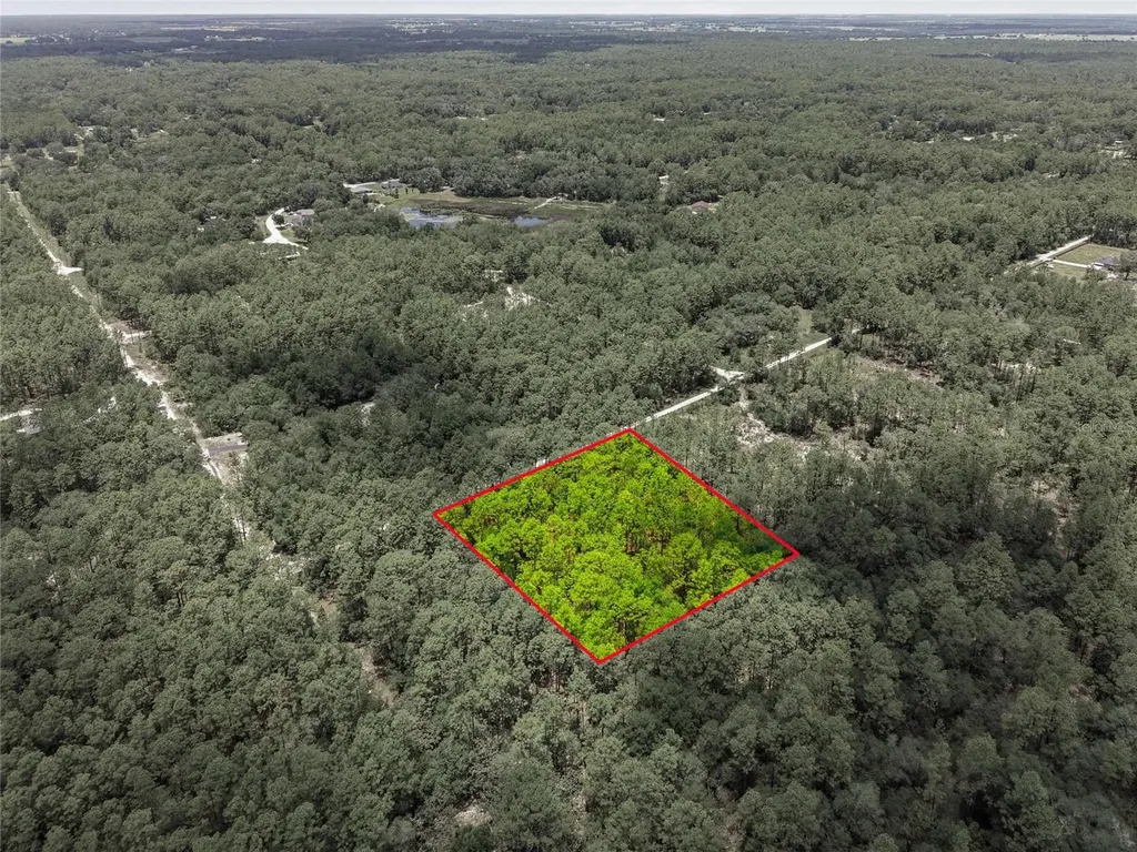 Lot 02 SW 175th Terrace Dunnellon FL 34432