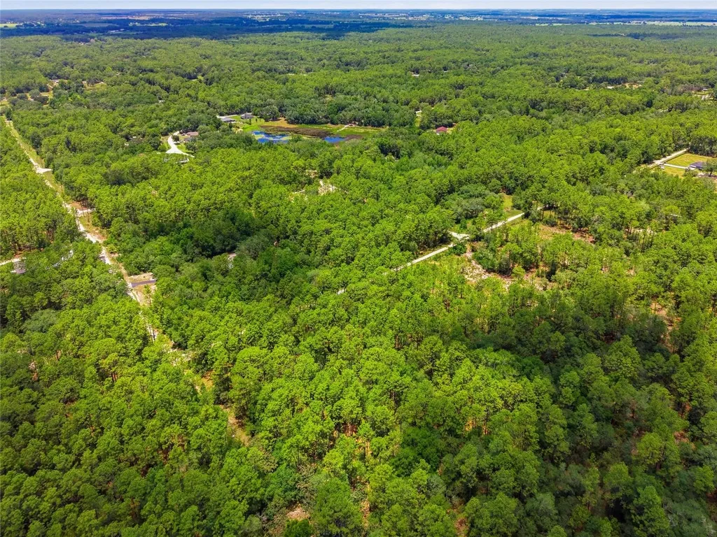 Lot 02 SW 175th Terrace Dunnellon FL 34432