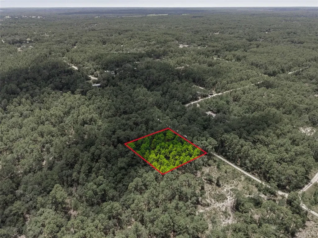 Lot 02 SW 175th Terrace Dunnellon FL 34432