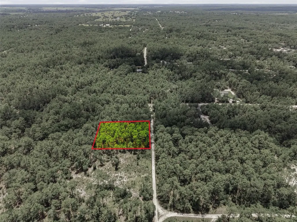 Lot 02 SW 175th Terrace Dunnellon FL 34432