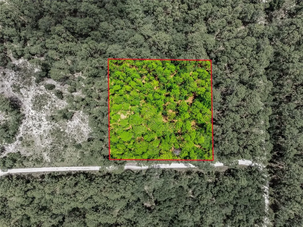 Lot 02 SW 175th Terrace Dunnellon FL 34432