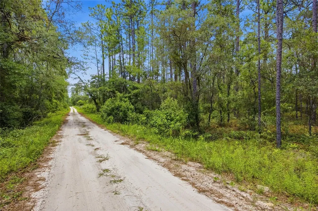 Lot 02 SW 175th Terrace Dunnellon FL 34432