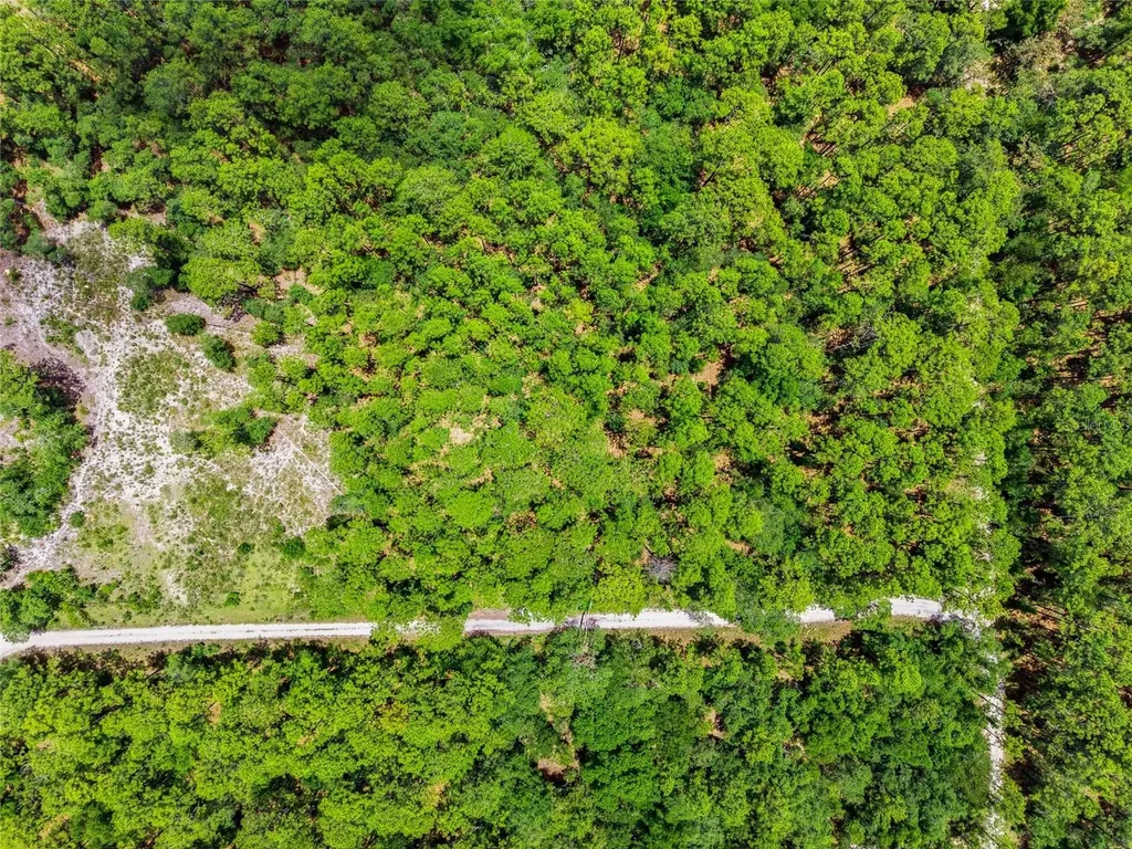 Lot 02 SW 175th Terrace Dunnellon FL 34432