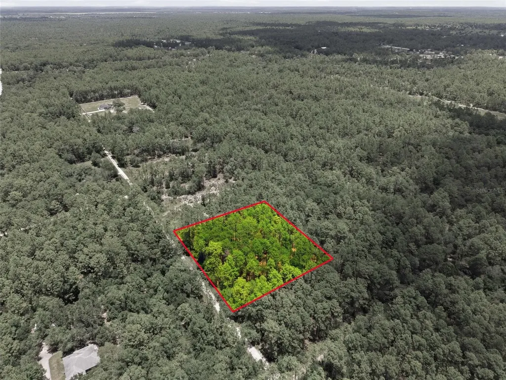 Lot 02 SW 175th Terrace Dunnellon FL 34432