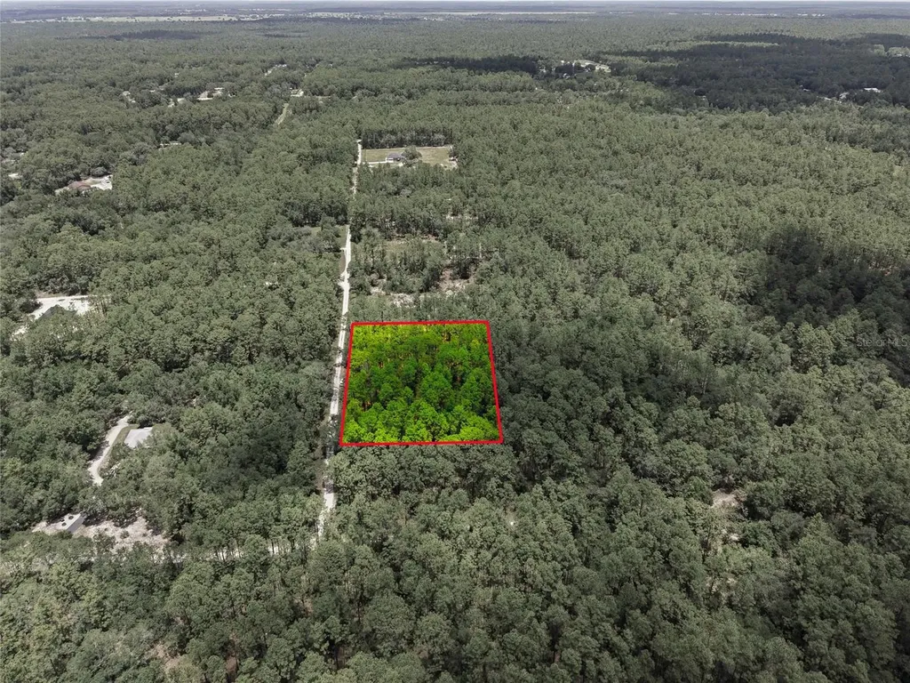 Lot 02 SW 175th Terrace Dunnellon FL 34432