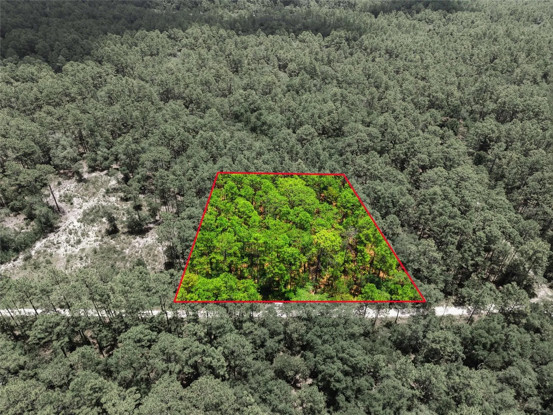 Lot 02 SW 175th Terrace Dunnellon FL 34432