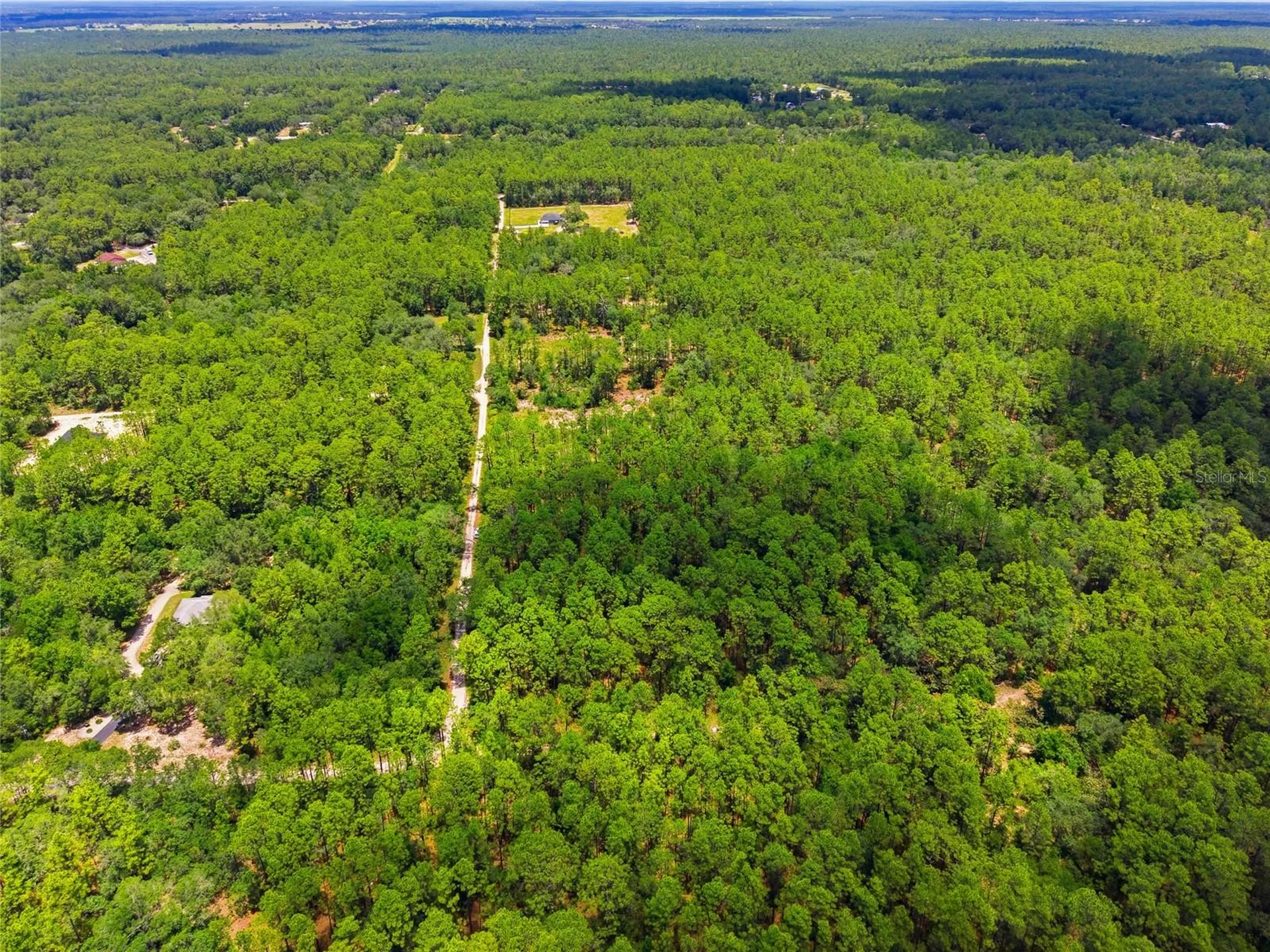 Lot 02 SW 175th Terrace Dunnellon FL 34432