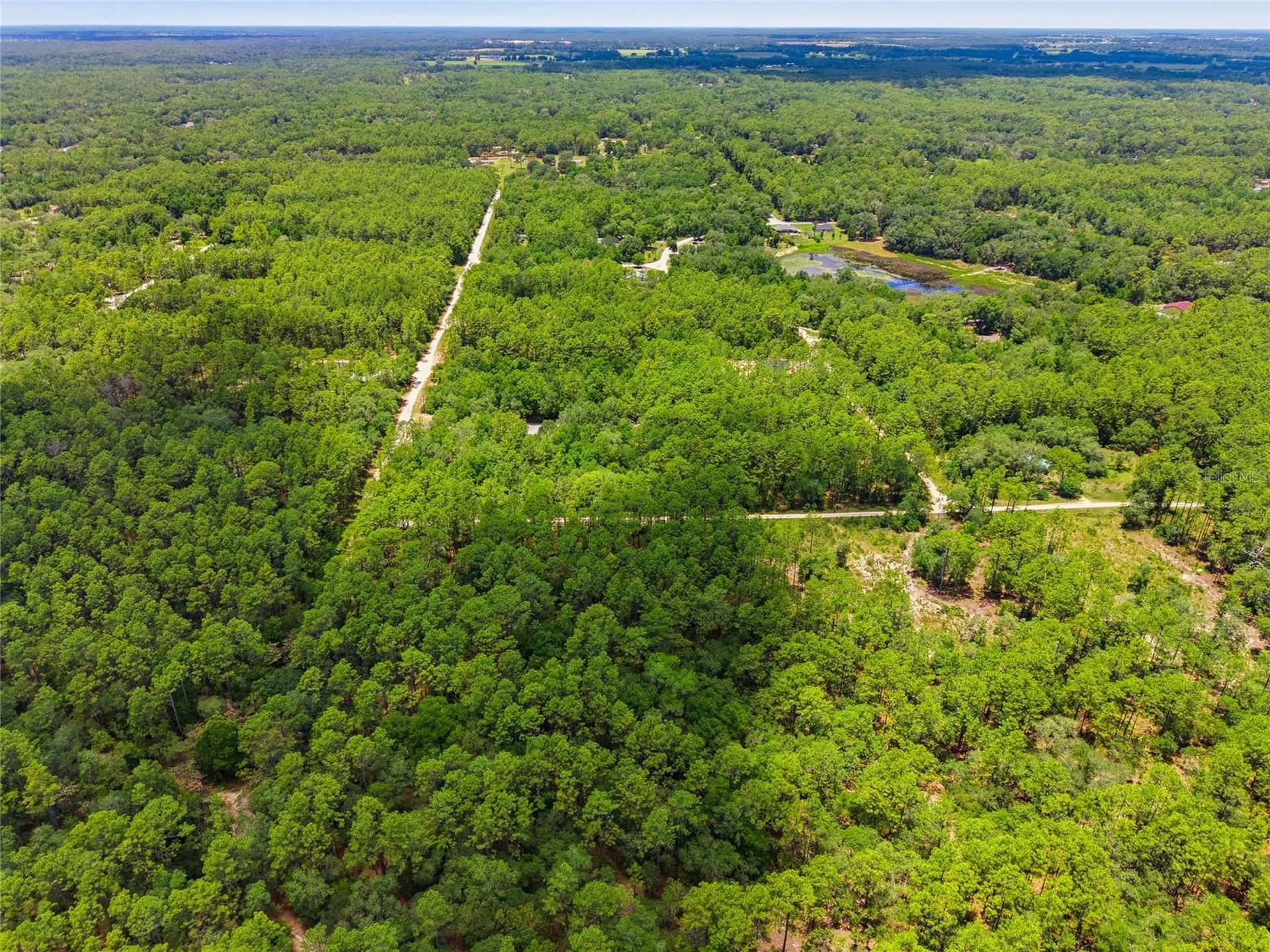 Lot 02 SW 175th Terrace Dunnellon FL 34432