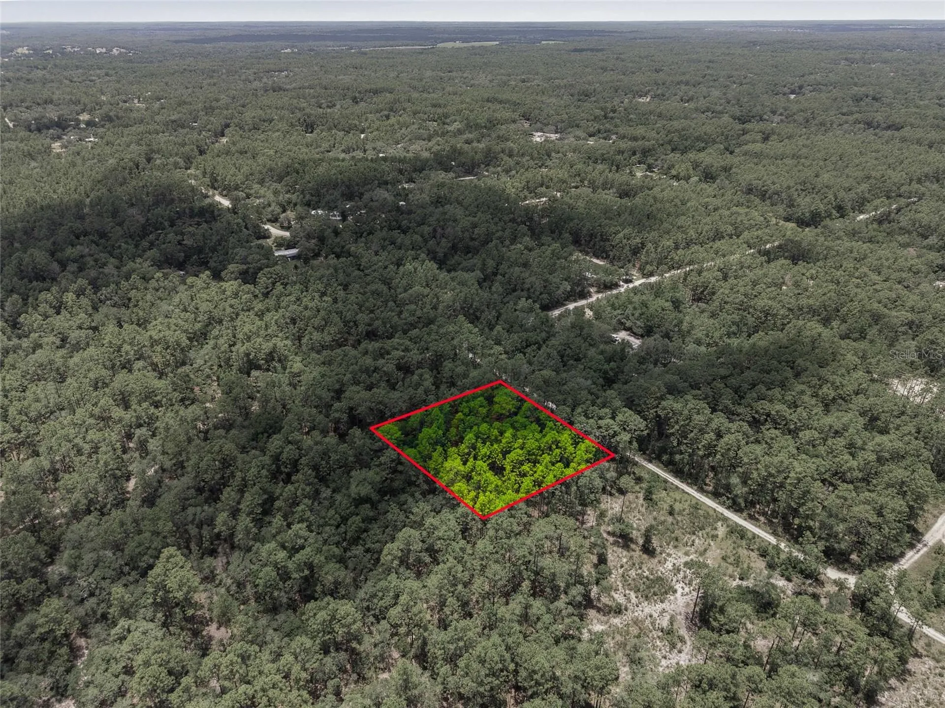Lot 02 SW 175th Terrace Dunnellon FL 34432